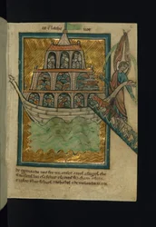 Gli animali entrano nell